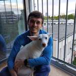 Ersteller:in Mark Profilbild