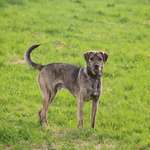 Ersteller:in Tabi Profilbild