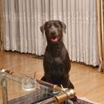 Ersteller:in Elisabeth Profilbild