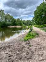 Hundeauslaufgebiet-Zum Rugenbarg-Bild