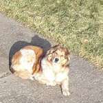 Ersteller:in Daniel Profilbild