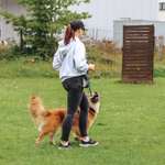 Ersteller:in Dirk Stephanie Profilbild