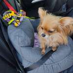 Ersteller:in Renate Profilbild