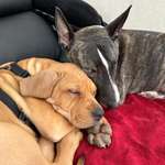 Ersteller:in Melanie Profilbild