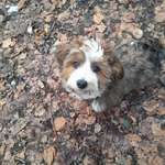 Ersteller:in Rahel Profilbild