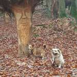 Ersteller:in Gabi Profilbild