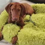 Ersteller:in Birgit Profilbild