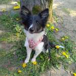 Ersteller:in Melanie Profilbild