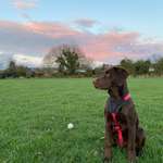 Ersteller:in Raluka Profilbild