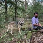 Ersteller:in Ripunjay Profilbild