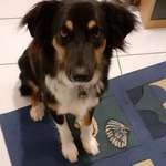 Ersteller:in Annika Profilbild