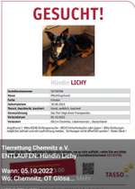 Suchmeldung-Lychi-Bild