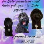 Ersteller:in Maria Profilbild