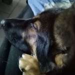 Ersteller:in Rebecca Profilbild