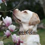 Ersteller:in Nicole Profilbild