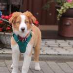 Ersteller:in Lara Profilbild