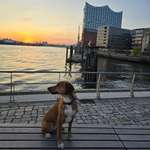 Ersteller:in Uli Profilbild