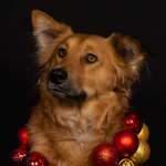 Ersteller:in Antonia Profilbild