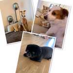 Ersteller:in Susanne Profilbild