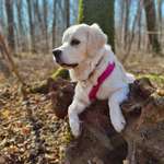 Ersteller:in Andre Profilbild