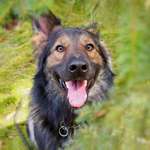 Ersteller:in Denise Profilbild