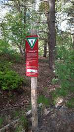 Hundeauslaufgebiet-Drakamp-Bild