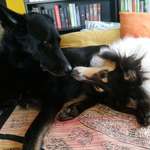 Ersteller:in Sara Profilbild