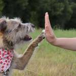 Ersteller:in Romina Profilbild