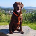 Ersteller:in Silvia Profilbild