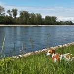 Ersteller:in Ron Profilbild