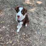 Ersteller:in Vanessa Profilbild