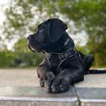 Ersteller:in Nick Profilbild