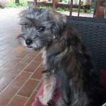 Ersteller:in Marina Profilbild