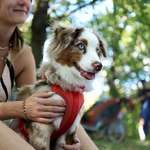 Ersteller:in Ninette Profilbild