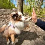 Ersteller:in Ninette Profilbild