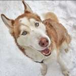 Ersteller:in Nils Profilbild