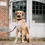 Ersteller:in Michelle Profilbild