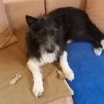 Ersteller:in Alexandra Profilbild