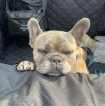 Ersteller:in Franziska Profilbild