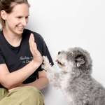 Ersteller:in Michelle Profilbild