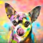 Ersteller:in Laura Profilbild