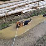 Ersteller:in Janine Profilbild