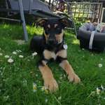 Ersteller:in Henry Profilbild