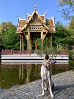 Hundeauslaufgebiet-Westpark West-Bild