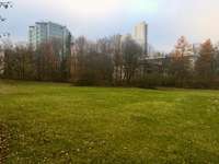 Hundeauslaufgebiet-Denninger Anger-Bild