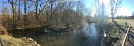 Hundeauslaufgebiet-Johanniskirchen/Daglfing-Bild