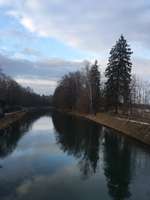 Hundeauslaufgebiet-Hinterbrühl-Bild