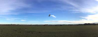 Hundeauslaufgebiet-Neubiberg-Bild