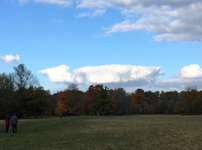 Hundeauslaufgebiet-Englischer Garten Süd-Bild