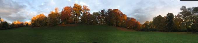 Hundeauslaufgebiet-Maximiliansanlagen Nord-Bild